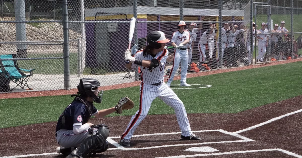 Shaved & Rolled Bats Shop -Shaved & Rolled Bats Shop 3