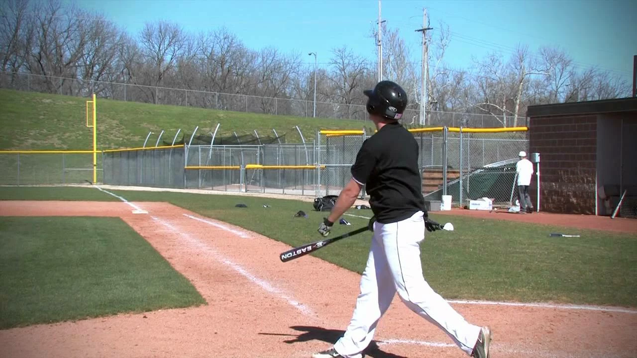 Shaved & Rolled Bats Shop -Shaved & Rolled Bats Shop 4